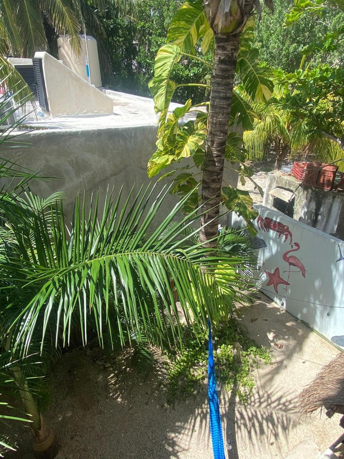 Suites Pelicano Holbox Esterno foto