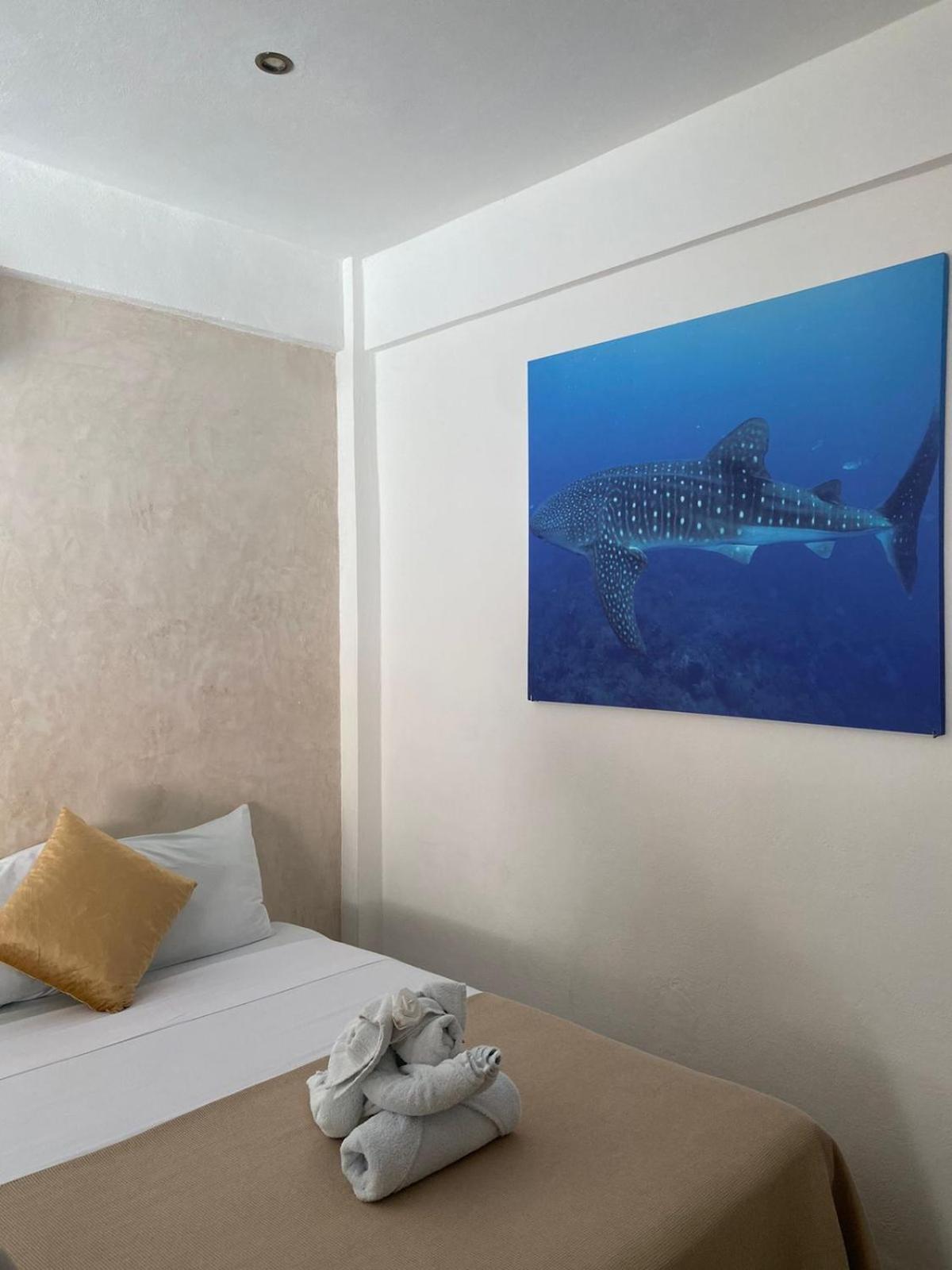 Suites Pelicano Holbox Esterno foto