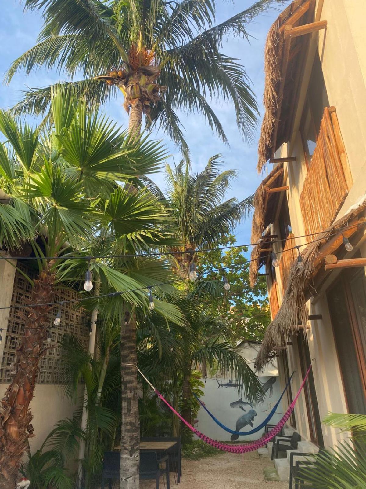 Suites Pelicano Holbox Esterno foto